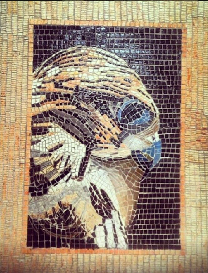Falcon