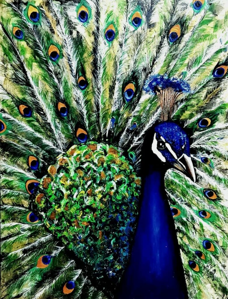 Peacock